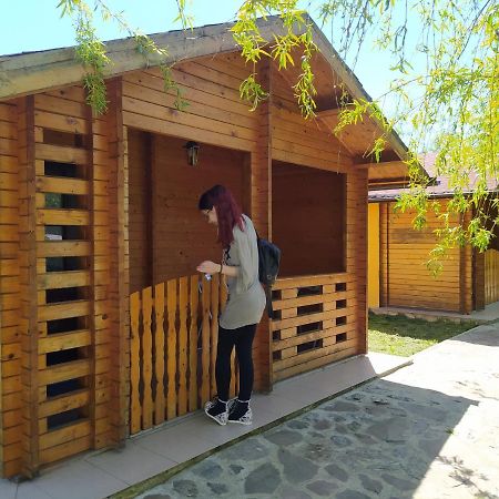 Hanul Arcasului Villa Voila Exterior foto