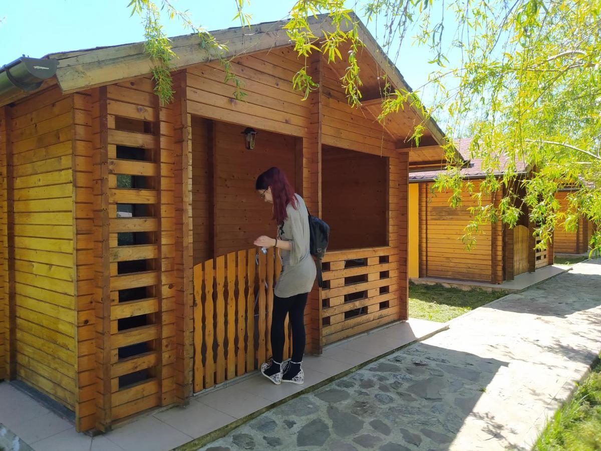 Hanul Arcasului Villa Voila Exterior foto